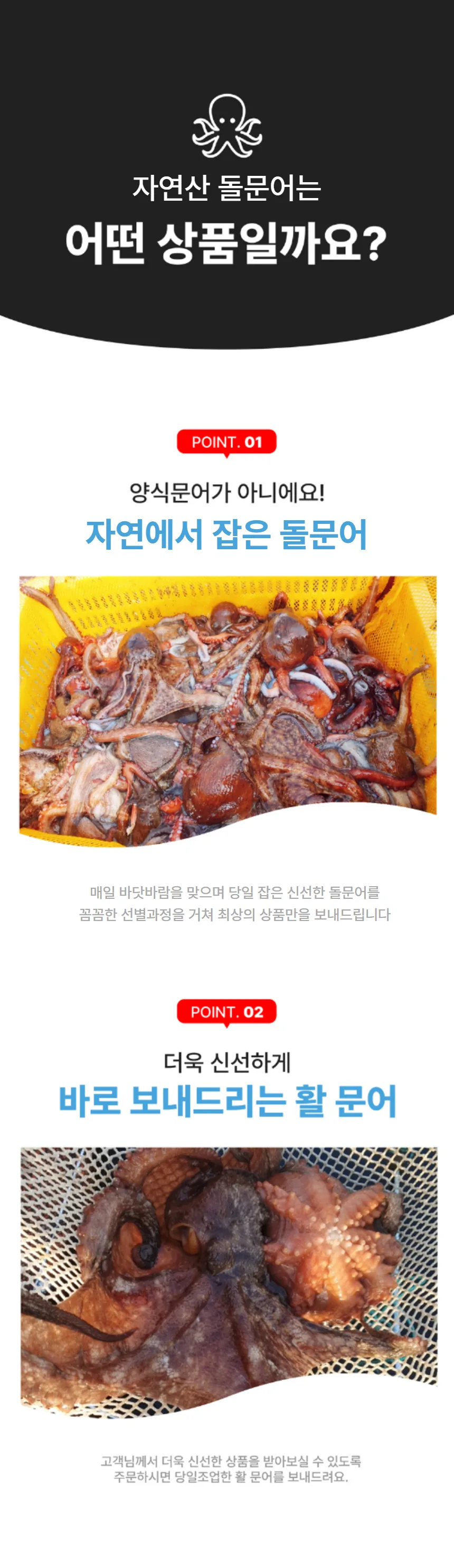 상세페이지