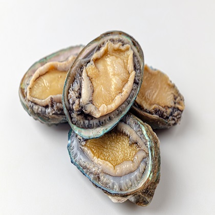 완도 활전복 1kg (중, 11~15미 내외)