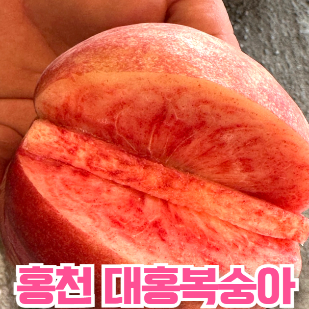 프리미엄 대홍 복숭아 2kg (8과내외)