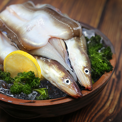 손질 바다장어 1kg (중대, 4~5미, 손질후 700g)
