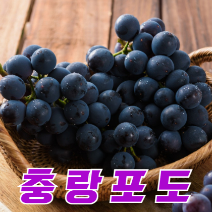 지리산 충랑포도 실속 1.5kg (5~7수)