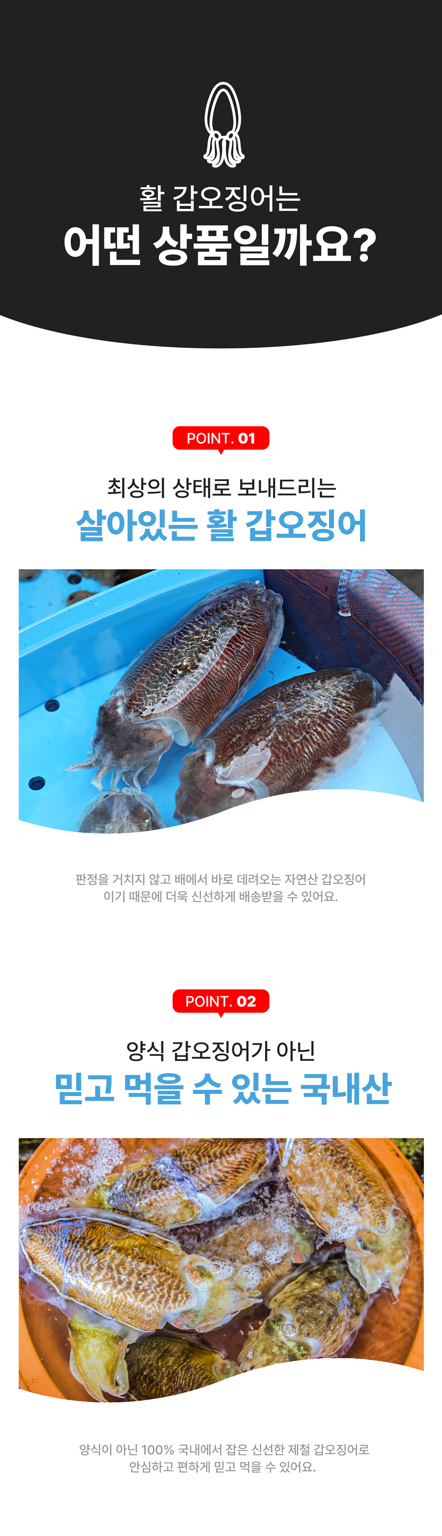 상세페이지