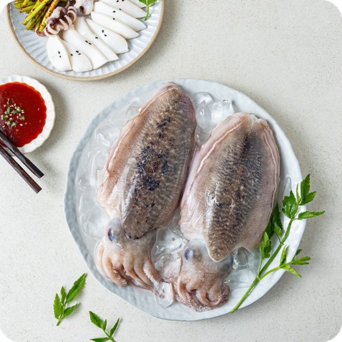 활 갑오징어 1kg