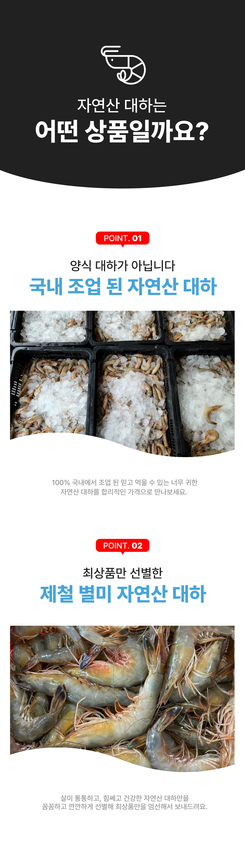 상세페이지