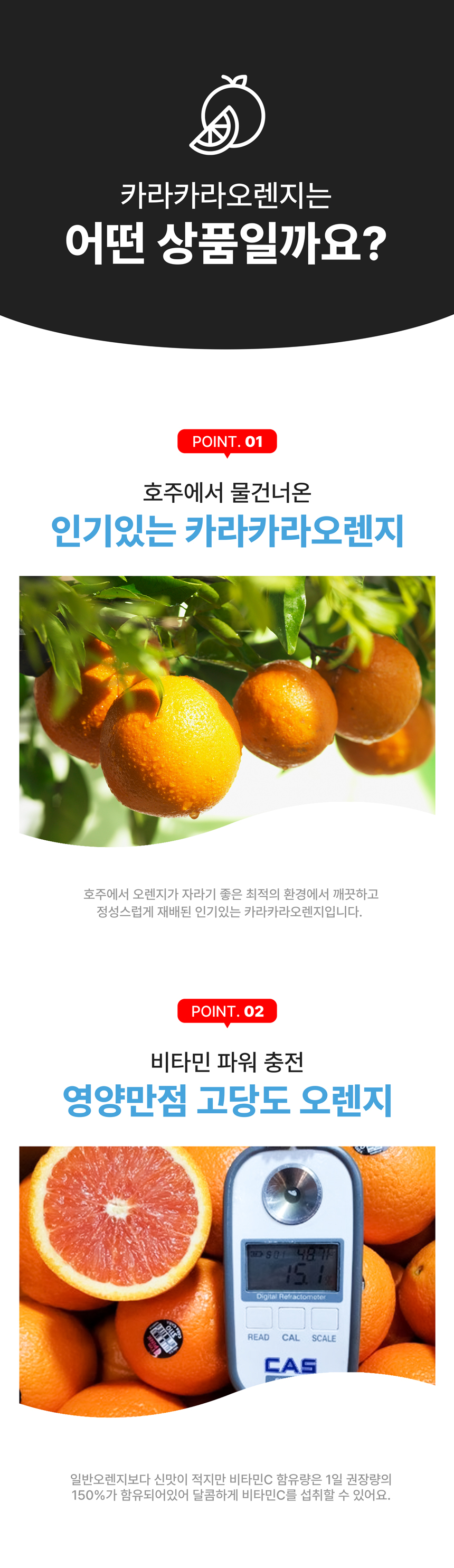 상세페이지