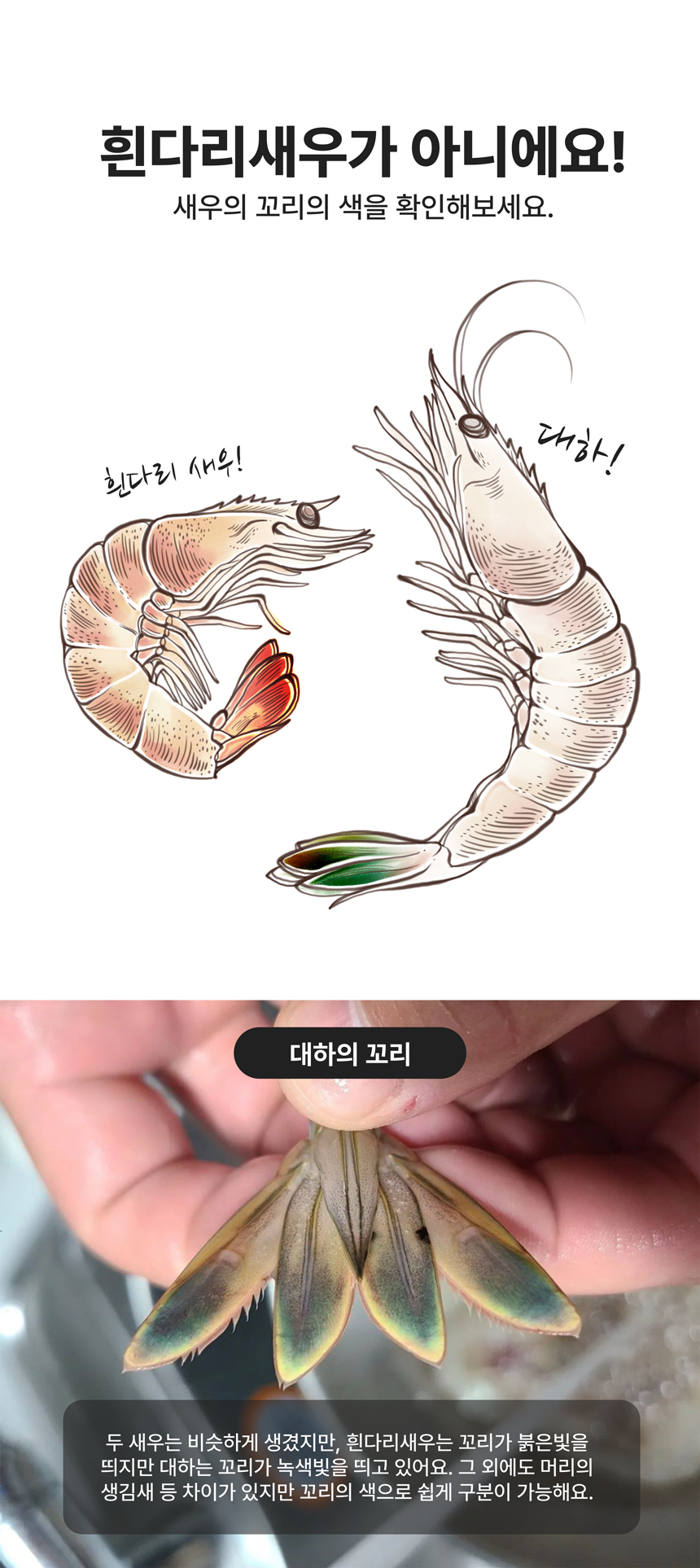 상세페이지