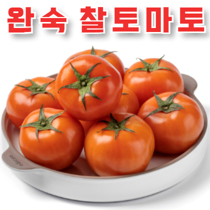 완숙 찰 토마토 2kg